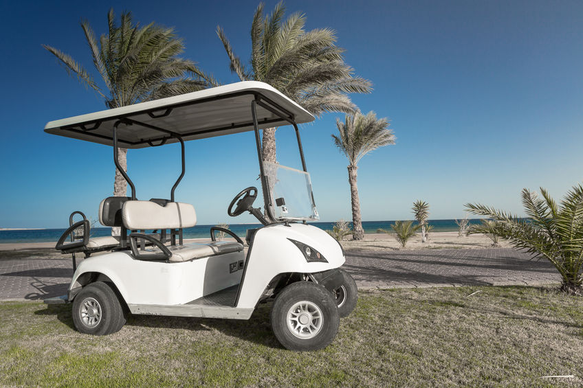 Golf Cart Stores L Jeffrey Allen, Inc.