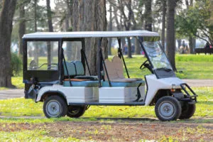 Carryall Security Vehicle