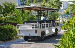 Custom Golf Carts For Sale Lakeland