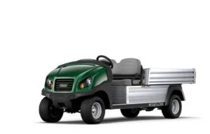 Golf Cart Utility Vehicle