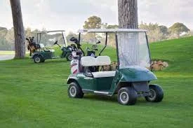 New Club Car Golf Cart