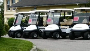 Room Service Carryall Golf Cart