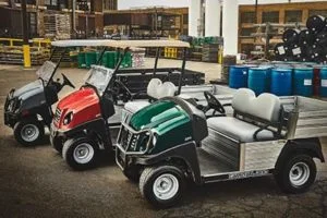 Utility Golf Cart for Sale