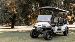 Onward 6 Passenger Golf Cart