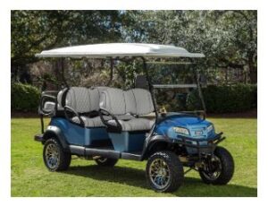 6 Passenger Golf Cart