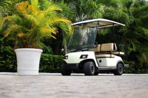 Electric Golf Carts for Sale