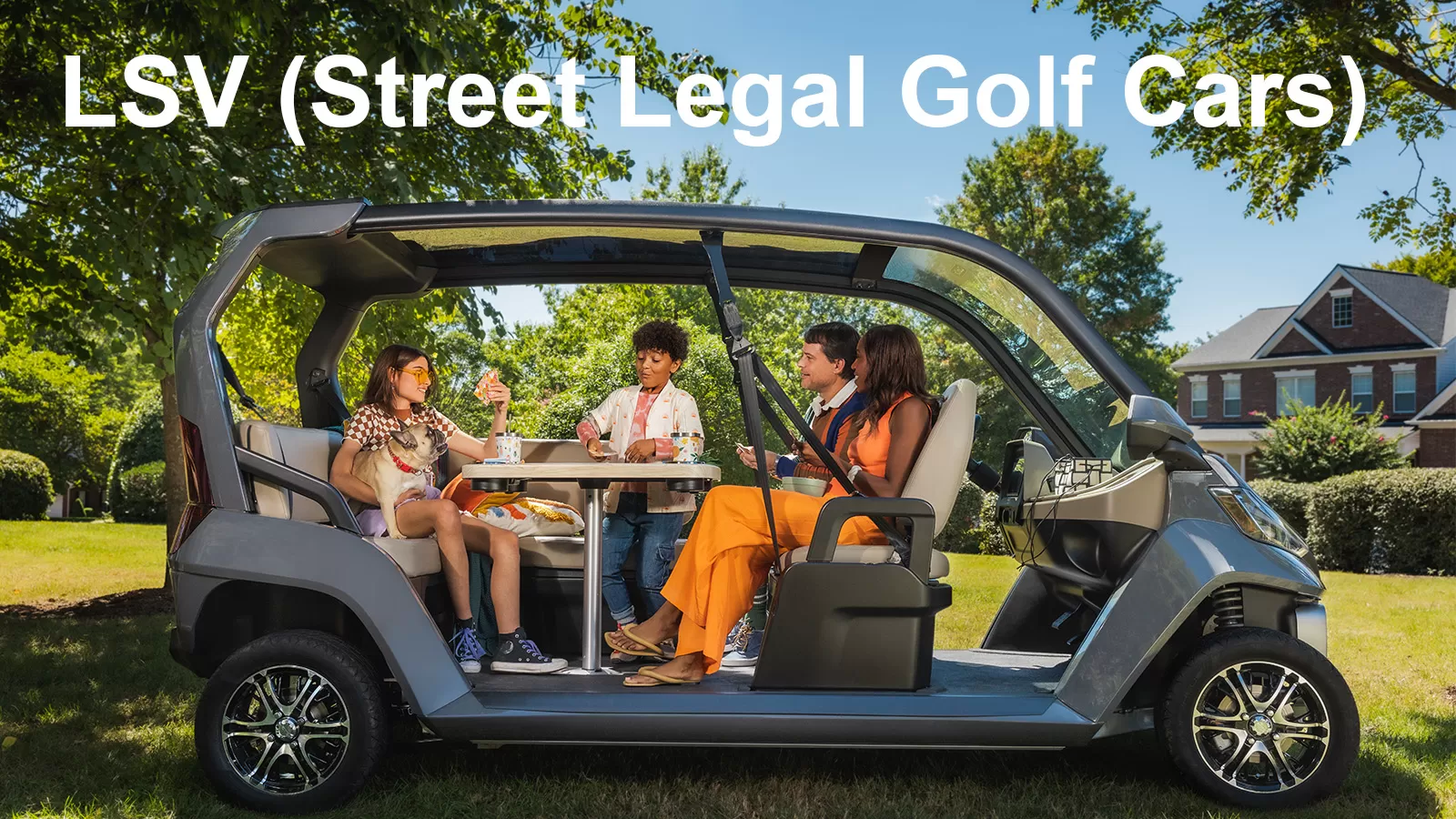 LSV Golf Carts